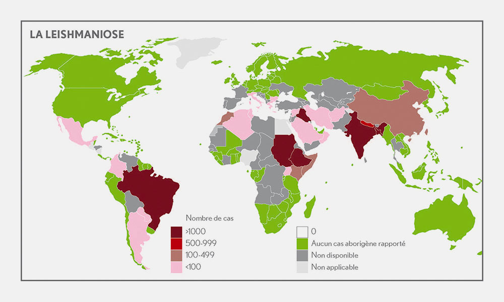 Carte indiquant les risques de Leishmaniose dans le monde