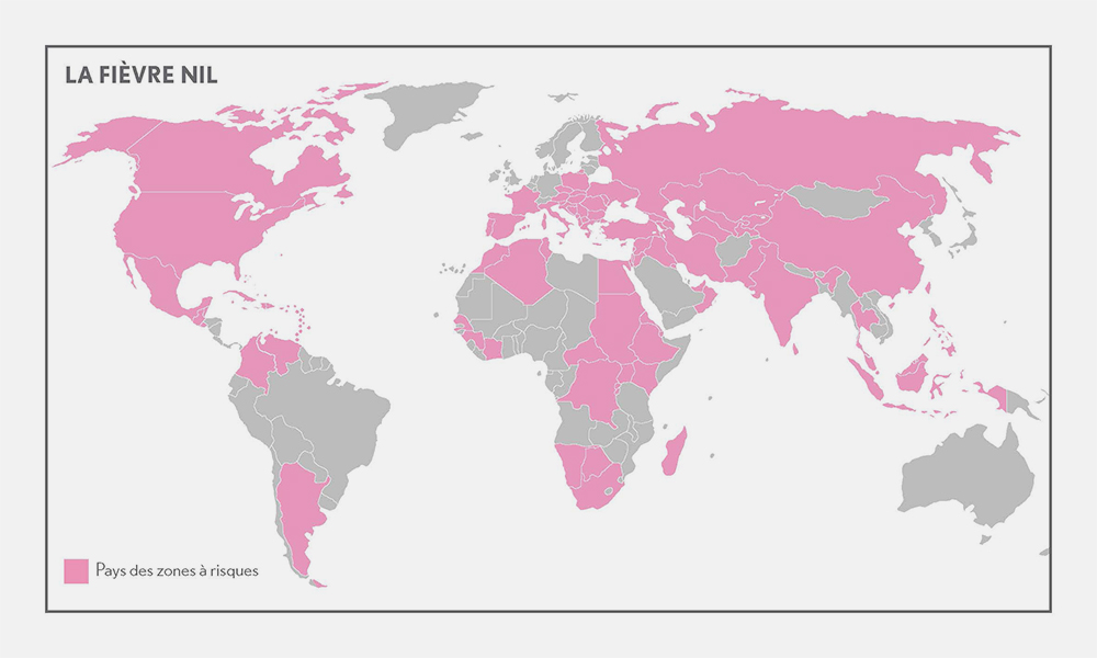 Carte des pays à risque pour la fièvre du Nil
